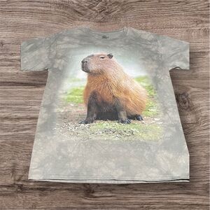 Capybara The Mountain Heather Gray T-Shirt